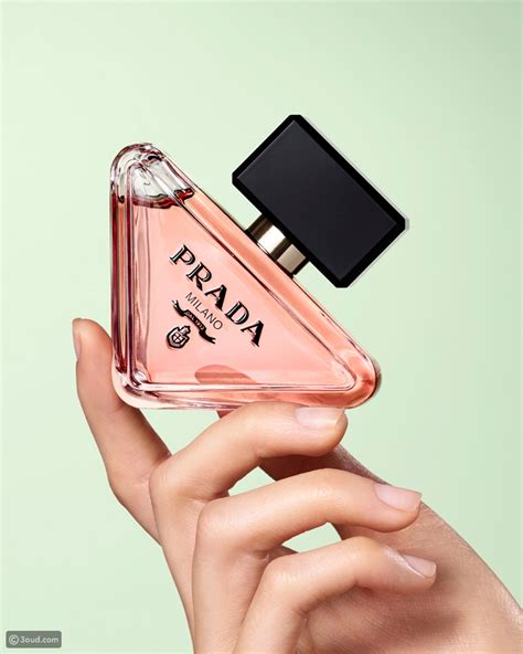 prada fragancias|prada paradoxe smells like.